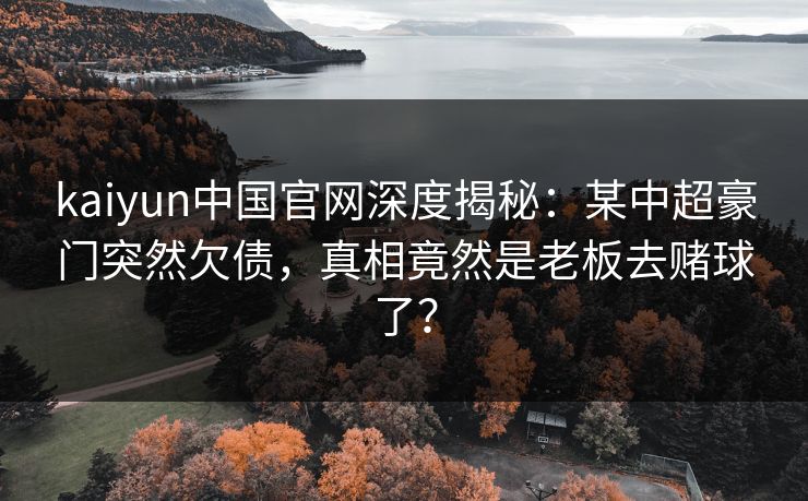kaiyun中国官网深度揭秘：某中超豪门突然欠债，真相竟然是老板去赌球了？